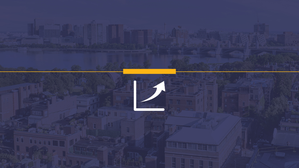 Stable Startups Thumbnail