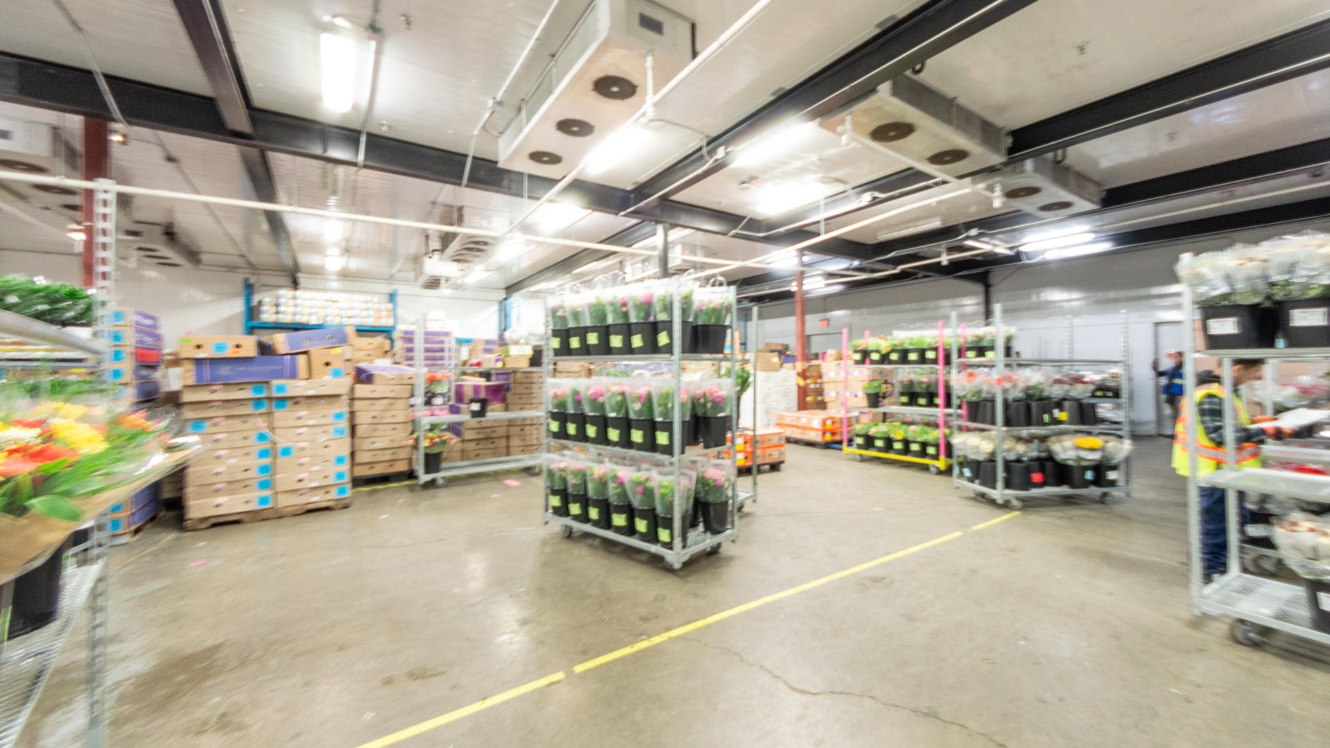 Warehouse