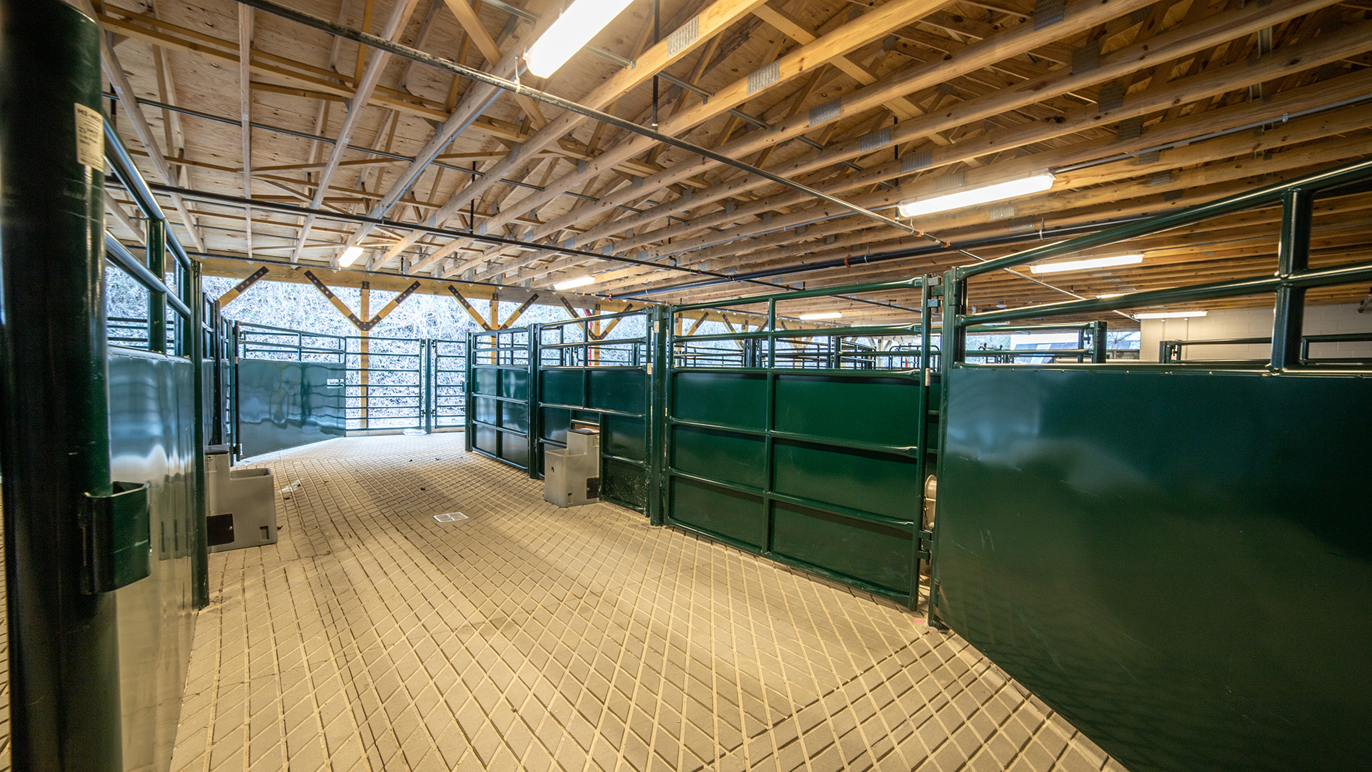 Green stalls inside of a wooden industrial overpass in 4808 Kanawha