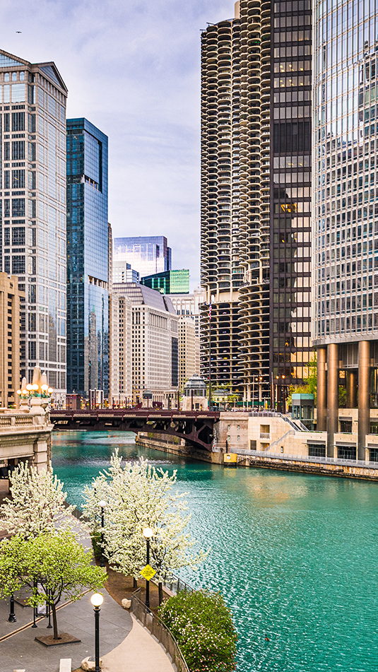 Chicago River and the surrounding buildings 