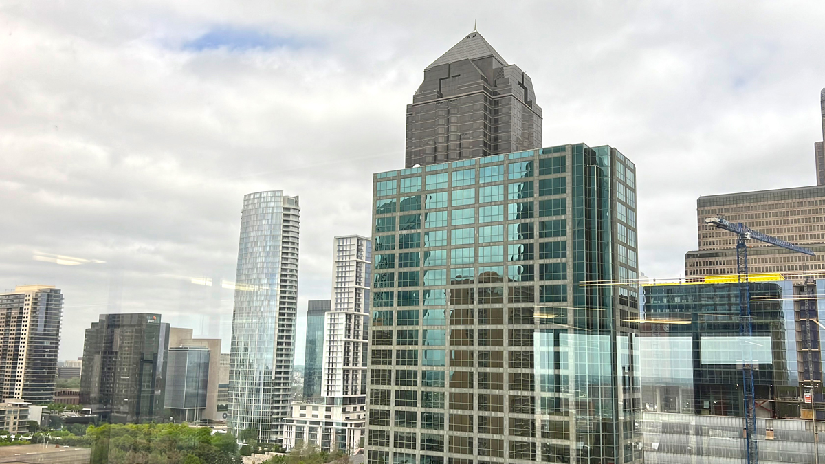 Dallas View