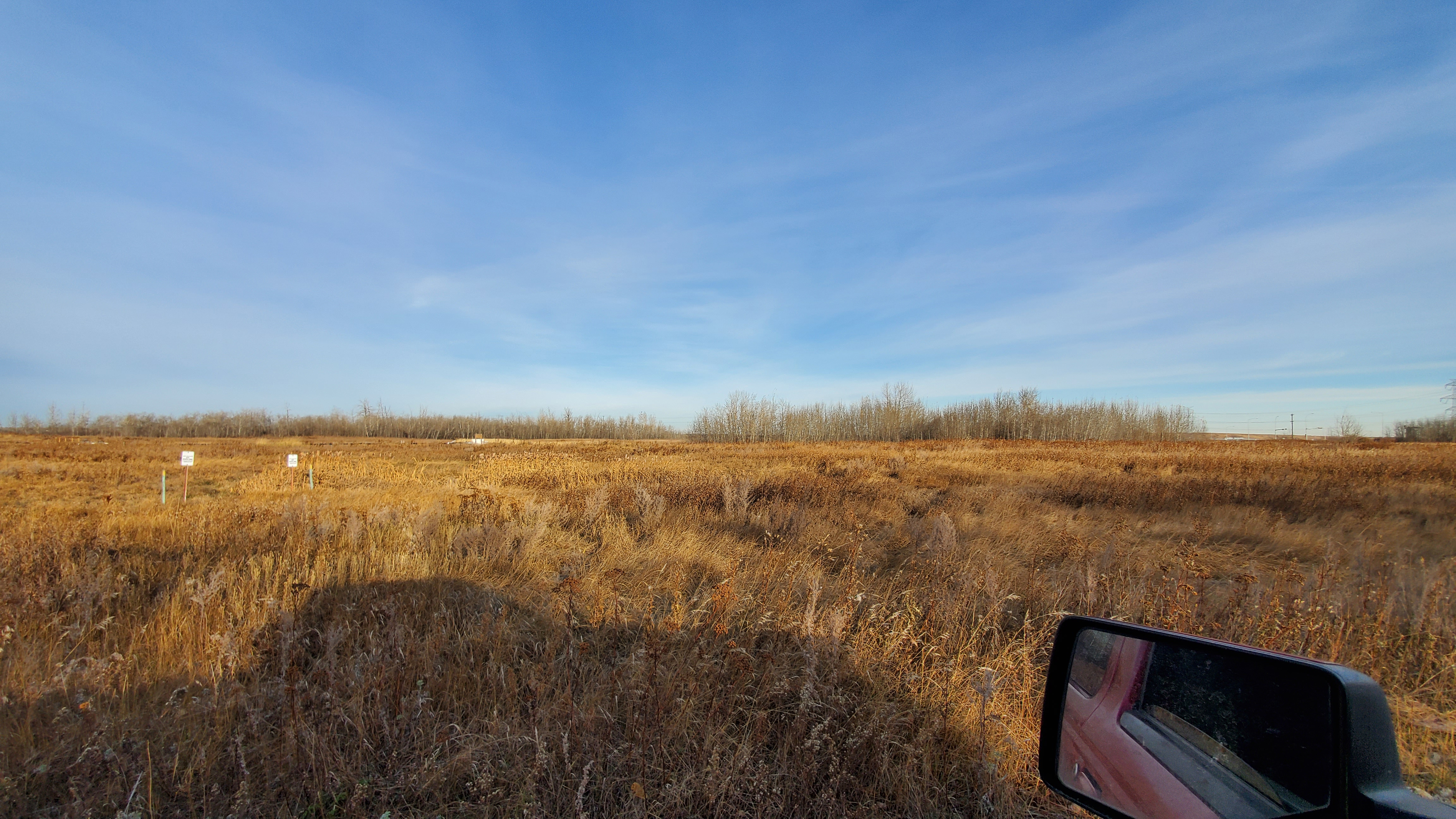 LAND2 