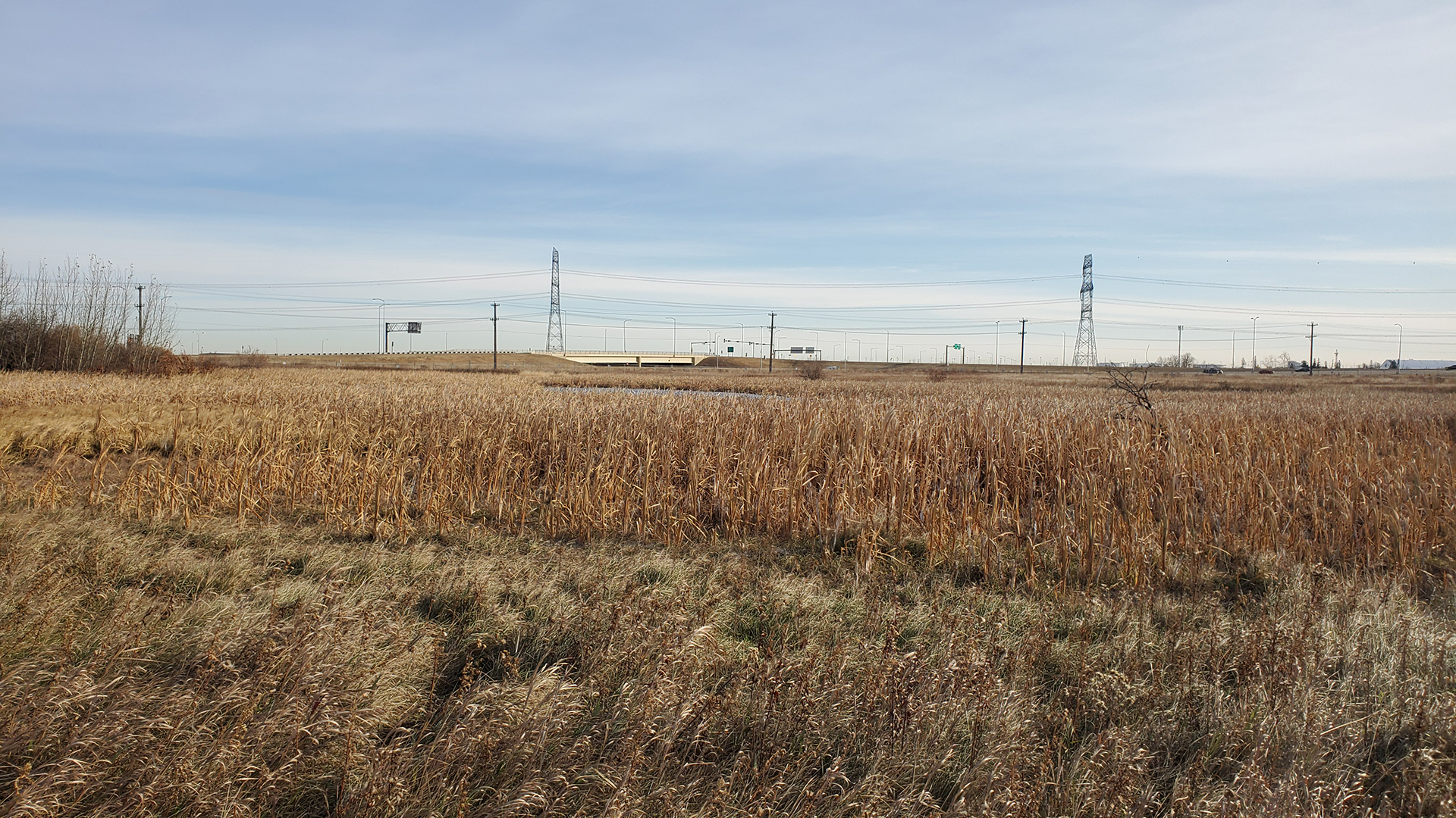 LAND3