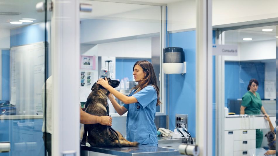 veterinary clinic
