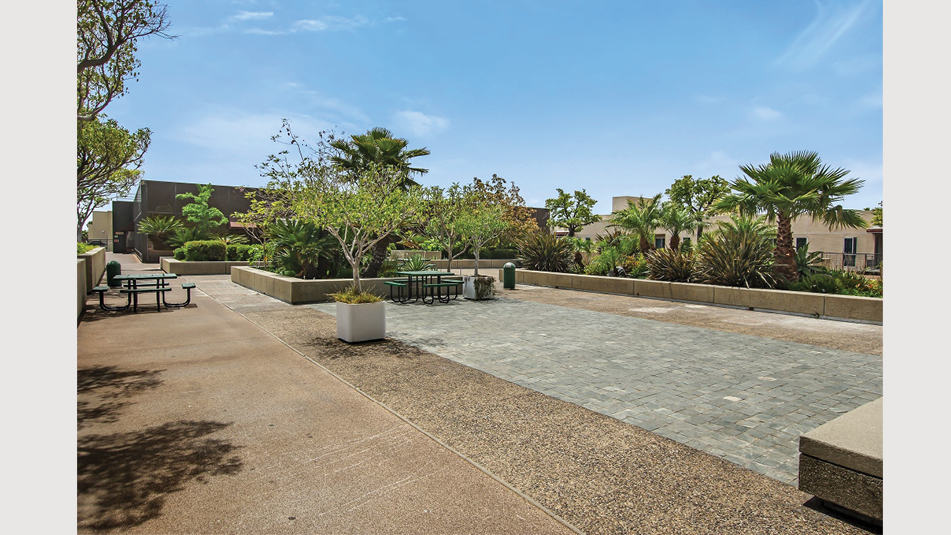 Rooftop Garden