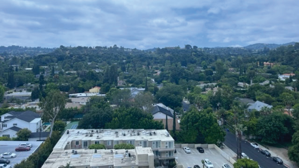 aerial view