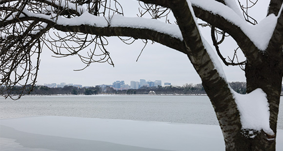 Q4 2024 Northern Virginia Market Report