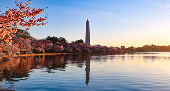 Q1 2025 DC Market Report 