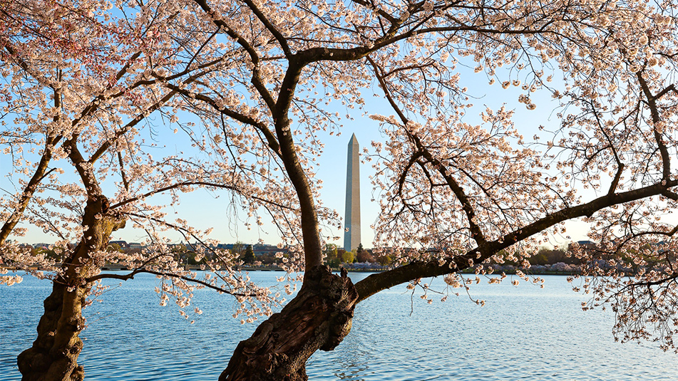Q1 2026 DC Market Report Thumb