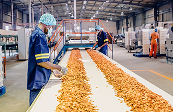 Workers processing food at a food plant